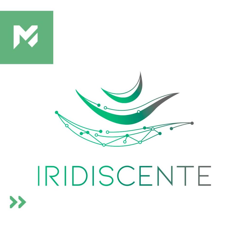 Proyecto iridiscente